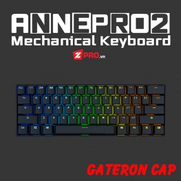 Bàn phím cơ ANNE PRO 2 (BLACK) - Gateron Cap Switch