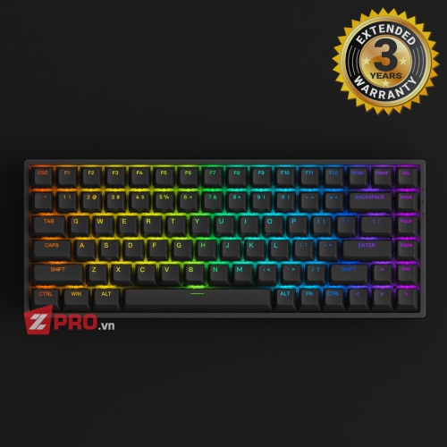 Bàn phím cơ AKKO 3084 v2 RGB - BLACK (Hotswap, Foam)