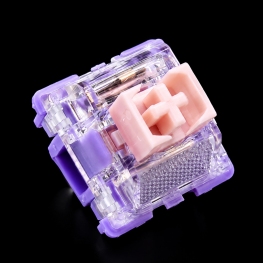 Switch Viola Tricolor v2 ( Thocky ,Tactile 48g)